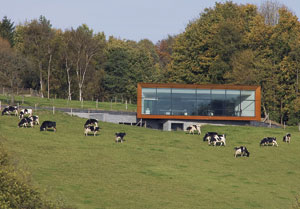 Bureaux et entrepôt Schyns